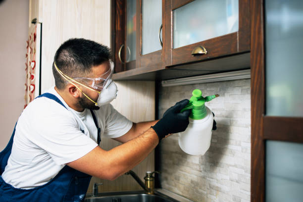 Best Residential Pest Control  in Morgantown, MS